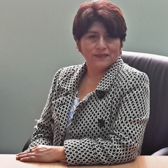 Línea de investigación