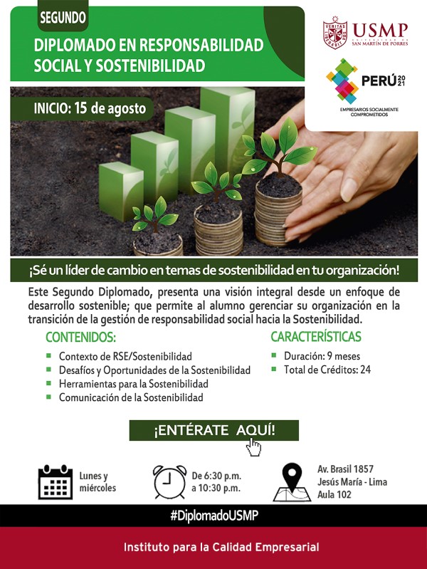 Diplomado y Sostenibilidad 2016 ICE w