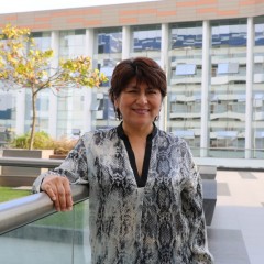 Línea de investigación